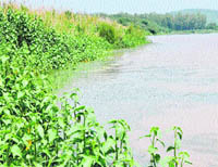 A file photo of the Sukhna Lake catchment area.  