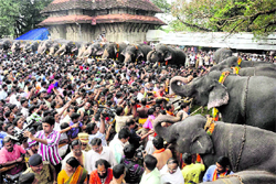 Devotees feed elephants on the opening of Malayalam month Karkkidakamin at the Vadakkunnathan Temple in Thrissur, Kerala, on Sunday