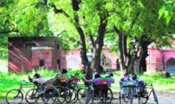 Rickshawpullers take a nap in the Old Court complex in Karnal.