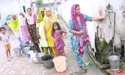 Villagers fill buckets from a tap of a gurdwara as the public water supply system collapses at Jandu Singha, near Adampur, in Jalandhar. 