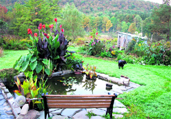 The landscape plan should always be in harmony with the house