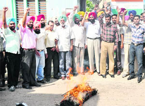 Activists of the Joint Teachers Morcha burn an effigy of the Punjab Chief Minister at Amloh. 