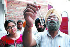 A health official shows the larva of dengue-causing mosquito, found at a house on the Ajit Road in Bathinda on Thursday.