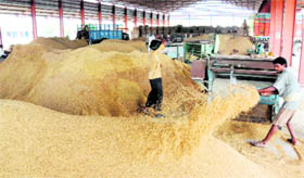 Workers busy cleaning paddy at the New Grain Market in Karnal.