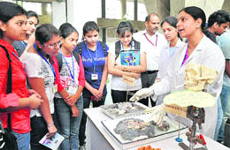 Students have a look during an exhibition on ill-effects of junk food, driving without helmet, alcoholism and smoking at the PGI in Chandigarh on Friday