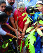 Sheila Dikshit plants a sapling. 
