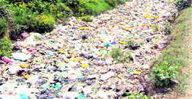 A blocked drain along the disposal road in Jagraon.
