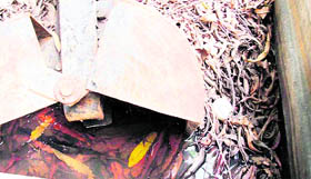 Rainwater and dry leaves inside the machine have made it to rust.