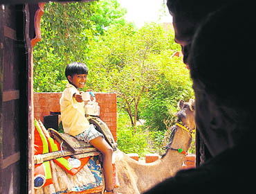 I Am Kalam is set for an all-India release on August 5