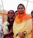 A volunteer from Bathinda parliamentary constituency takes a sapling under MP Harsimrat Kaur Badal's Nanhi Chhaan campaign.