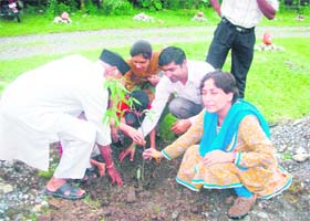 Meenakshi Joshi, District Forest Officer, Dehradun, plants a sapling at Jhajra, near Dehradun, on Sunday