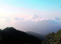 View from Churdhar peak