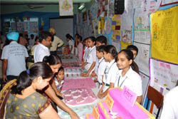 An exhibition, Kritee: 2011, underway at the Delhi Public School in Bathinda on Monday. 
