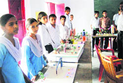 Students of various schools display science models 