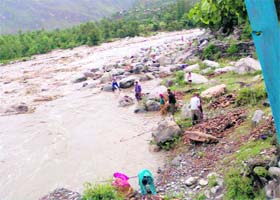 GIFT OF NATURE: Villagers collect logs of wood for fuel purposes from the banks of the Beas at Nagwani in Kullu on Monday