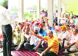 Non-teaching employees of GADVASU demonstrate at a rally in Ludhiana 