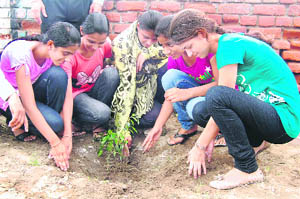 Students of the Government Bikram College for Commerce plant a sapling during an NSS camp in Patiala 