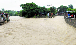 The Rispana in spate on Thursday