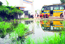 Stagnant sewage outside Guru Teg Bahadur School at Hazara village near Jalandhar, makes the life hell for students and school staff