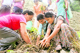 Girls plant a sapling during a tree plantation drive organised by the Jan Kalyan Samiti at Kuftadhar near Shimla on Sunday. 