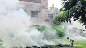 Despite a ban, dry leaves are being burnt in a residential area of Sector 13 in Karnal.
