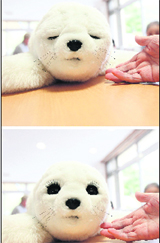 In this combination picture, a therapeutic robot named Paro opens its eyes as it reacts to an elderly users hand at the Suisyoen retirement home.