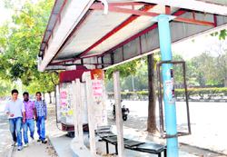 the ill-maintained one in Sector 8, Chandigarh