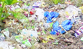 Polythene bags seen littered in a garbage dump at Aima on the Palampur-Dharamsala highway near Palampur.
