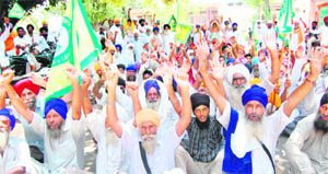 Farmer organisations hold a protest in Amritsar 