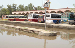 Waterlogging at the Muktsar Sahib bus stand.