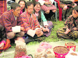 A public auction of "yarsa gumba" in Bhutan. 