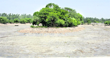 The dried up Tilyar Lake in Rohtak. 