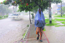 An old man caught unawares as sudden showers lash Karnal. 