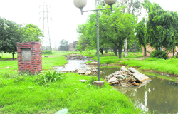 Beant Singh Park in a state of utter neglect.