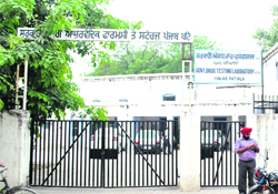 The Government Ayurvedic Pharmacy in Patiala on Thursday