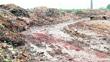Spilled-over garbage cover a road 
