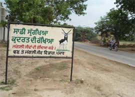 A board pleading for checks on hunting of animals at Seetogunno in Abohar