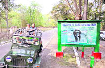 In the absence of the elephant safari facility, tourists use a vehicle to visit the Rajaji National Park.