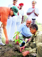 Regional Director of Social Forestry, AK Gupta, plants a sapling on the Sainik School campus in Nagrota on Friday