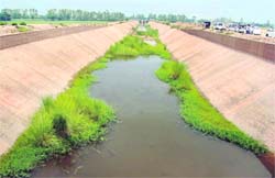 A file photo of the Hansi-Butana canal near the Punjab- Haryana border.