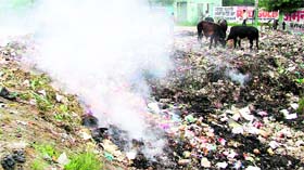 Employees of the municipal corporation prefer to burn garbage at Aman Nagar near the Jalandhar bypass in Ludhiana.