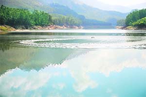 The Muttupetty dam and the Kundala lake offer opportunities for picnic and boat rides