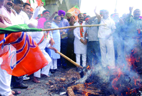 Delhi BJP president Vijender Gupta along with workers burn an effigy of Delhi Chief Minister Sheila Dikshit on Sunday.