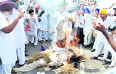 Farmers burn an effigy of the government near Dharmheri village in Patiala