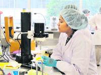 The Tribune, Chandigarh, India - Jobs & Careers