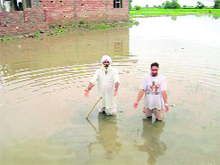 Villagers in knee-deep water at a field in Tarn Taran.