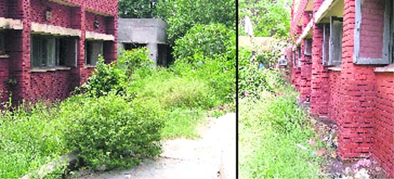 Wild growth outside the trauma ward; and (right) garbage littered on the premesis of the Civil Hospital in Ludhiana.