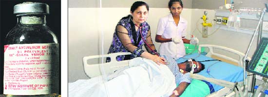 Anti-snake venom serum (left) Dr Gursaran Sidhu examines Arun Kumar, who has been put on a ventilator at a hospital in Doraha