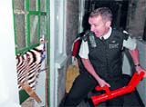 A policeman during a raid on the house of a looter in London on Thursday.