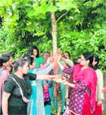Congress women workers tie rakhis to a tree on Rakshabandhan in Mussoorie